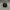 Harley Davidson Y2K Sportswear Hat Pria black photo 4
