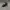 Harley Davidson Y2K Sportswear Hat Pria black photo 1