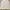 Polo Ralph Lauren Casual Suit Pria Tan