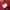 Indie Parka Pria red photo 7