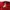 Adidas Casual Casual pants Pria red photo 4