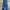 Dickies Casual Casual pants Pria blue photo 1