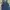 Dickies Casual Casual pants Pria blue photo 4