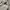 Isabel Marant Avant Garde Skinny jeans Wanita white photo 7