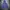 Noah Streetwear Skater Hoody Pria purple blue photo 3