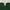 Champion Minimalist Sweatshirt Pria green photo 4
