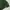 Champion Minimalist Sweatshirt Pria green photo 2