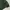 Champion Minimalist Sweatshirt Pria Green