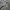 Stussy Streetwear Skater Hoody Pria gray photo 4