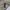 Champion Biker Casual Puffer jacket Pria cream photo 2