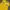 Streetwear Y2K Vest Pria yellow photo 2