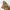 Realtree Streetwear Y2K Pria brown yellow photo 3