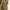 Realtree Streetwear Y2K Pria brown yellow photo 2