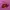 KIRSH Y2K Minimalist Sweatshirt Pria purple photo 3