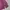 KIRSH Y2K Minimalist Sweatshirt Pria purple photo 4