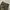 Realtree Streetwear Y2K Pria brown cream photo 3