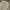 Deus Ex Machina Minimalist Casual Casual pants Pria cream photo 2