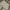 Deus Ex Machina Minimalist Casual Casual pants Pria cream photo 5