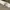 Deus Ex Machina Minimalist Casual Casual pants Pria cream photo 7
