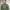 Levi's Sportswear Casual Bomber jacket Pria green photo 2