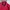 Beanpole Vintage Casual Harrington jacket Pria red photo 4