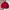 Beanpole Vintage Casual Harrington Jacket Pria Red