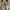 Stella McCartney Luxury Cosplay Sneakers Wanita Pink