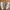 Stella McCartney Luxury Cosplay Sneakers Wanita pink photo 2