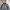 Eddie Bauer Vintage Casual Parka Pria gray photo 2