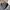 Eddie Bauer Vintage Casual Parka Pria gray photo 5