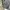 Eddie Bauer Vintage Casual Parka Pria gray photo 3