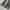 Hysteric Glamour Y2K Avant Garde Flare pants Wanita gray photo 5
