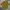 Gucci Luxury T-shirt Pria Navy Yellow