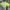 Yonex Sportswear T-shirt Pria green navy photo 2