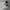 Adidas Casual Sneakers Pria White Gray