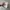 Adidas Casual Sneakers Pria white gray photo 3