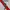 Umbro Sportswear Jersey Pria white photo 6