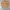 Polo Ralph Lauren Vintage Casual Parka Pria cream photo 1