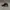 Harley Davidson Y2K Sportswear Hat Pria black photo 3