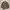 Diesel Vintage Denim jacket Pria tan photo 4