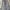 Lee Vintage Casual Jeans Pria white blue photo 4