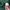 Japanese brand Minimalist Casual Sweatshirt Pria green photo 4