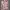 H&M Y2K Luxury Hoody Pria white pink photo 1