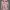 H&M Y2K Luxury Hoody Pria White Pink