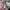 H&M Y2K Luxury Hoody Pria white pink photo 4