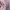 Casual Muslim Wanita pink photo 5