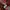 Japanese brand Vintage Casual Sweatshirt Pria multicolor photo 3