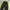 Puma Y2K Sportswear Tracksuit Pria black yellow photo 4
