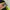 Puma Y2K Sportswear Tracksuit Pria black yellow photo 5