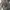 Y2K Hoody Pria gray photo 4